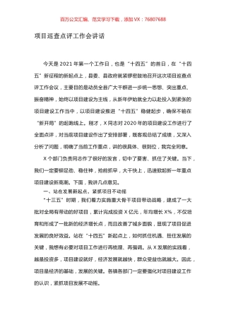 项目巡查点评工作会讲话.docx