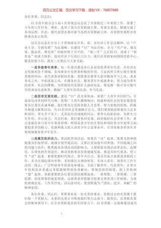 在市青联X届X次常委会上的讲话.docx