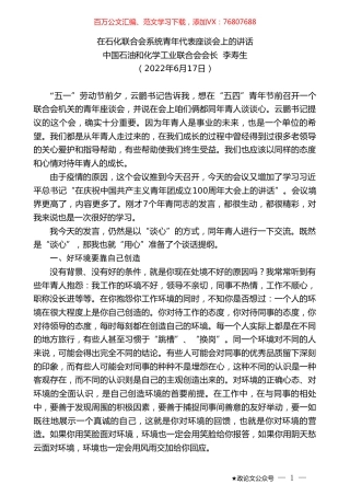 中国石油和化学工业联合会会长李寿生：在石化联合会系统青年代表座谈会上的讲话.doc