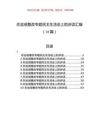 在巡视整改专题民主生活会上的讲话汇编（10篇）.docx