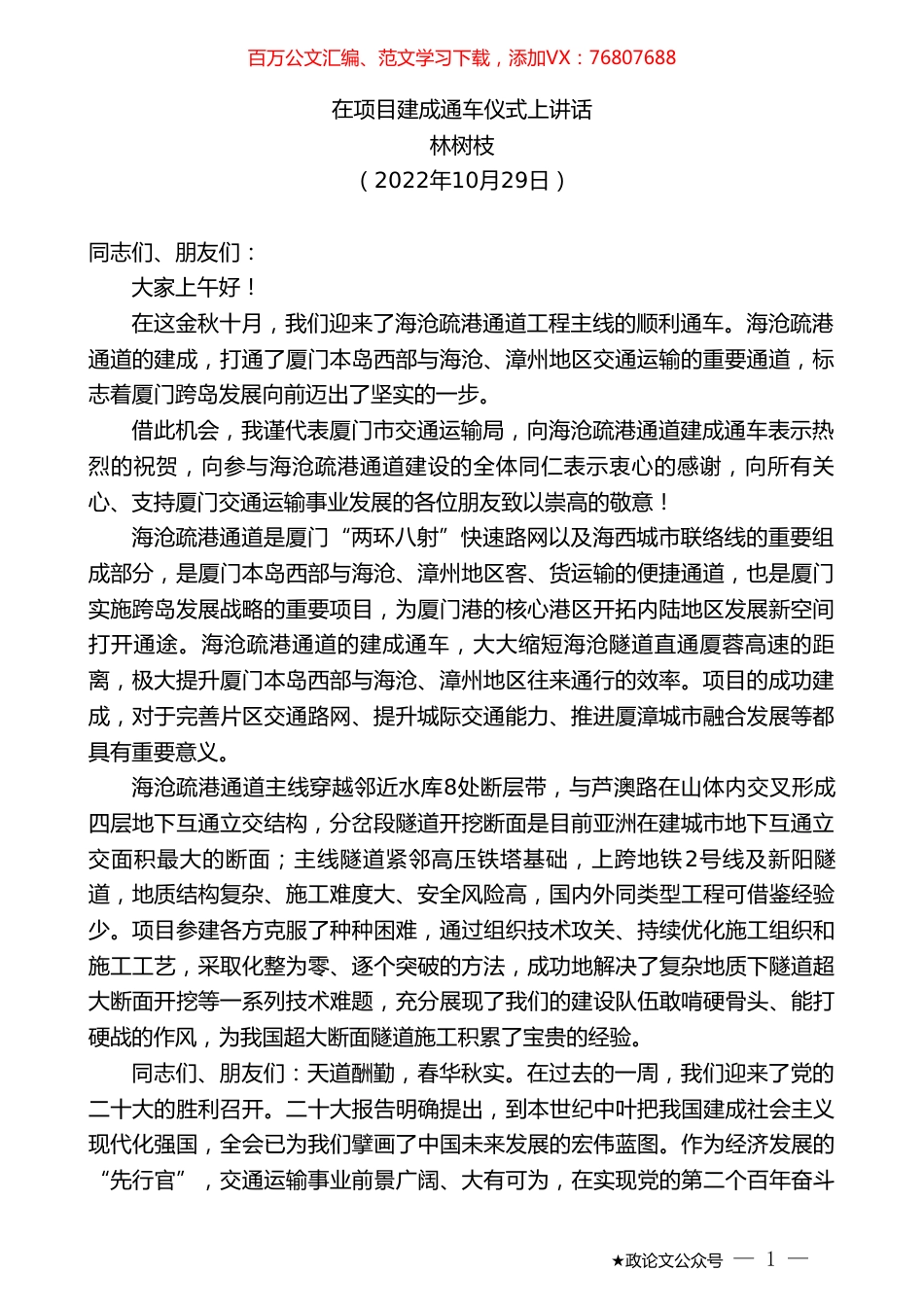 林树枝：在项目建成通车仪式上讲话.doc_第1页