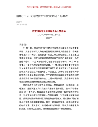 骆惠宁：在支持民营企业发展大会上的讲话.docx