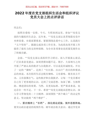2022年度在党支部组织生活会和组织评议党员大会上的点评讲话.docx