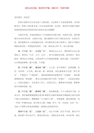 在X县第X届委员会第一次全体会议上的讲话.docx