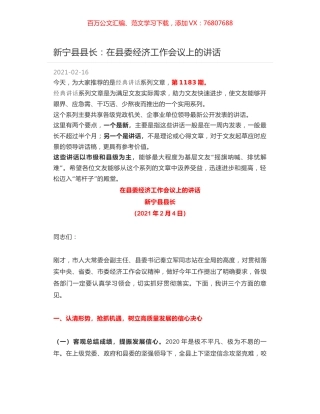 新宁县县长：在县委经济工作会议上的讲话.docx