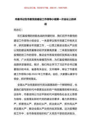 市委书记在市委党的建设工作领导小组第一次会议上的讲话.docx