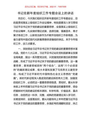 书记在新年度组织工作专题会议上的讲话.docx
