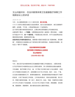 文山州副州长：在全州教育体育卫生健康医疗保障工作视频会议上的讲话.docx