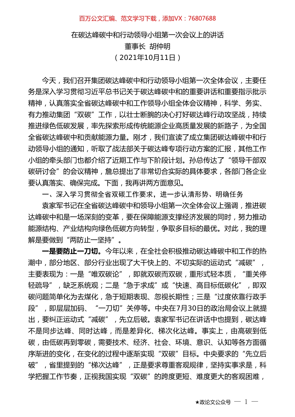 董事长胡仲明：在碳达峰碳中和行动领导小组第一次会议上的讲话.doc_第1页
