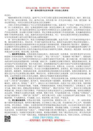 新一届市纪委书记在市纪委一次全会上的讲话.docx