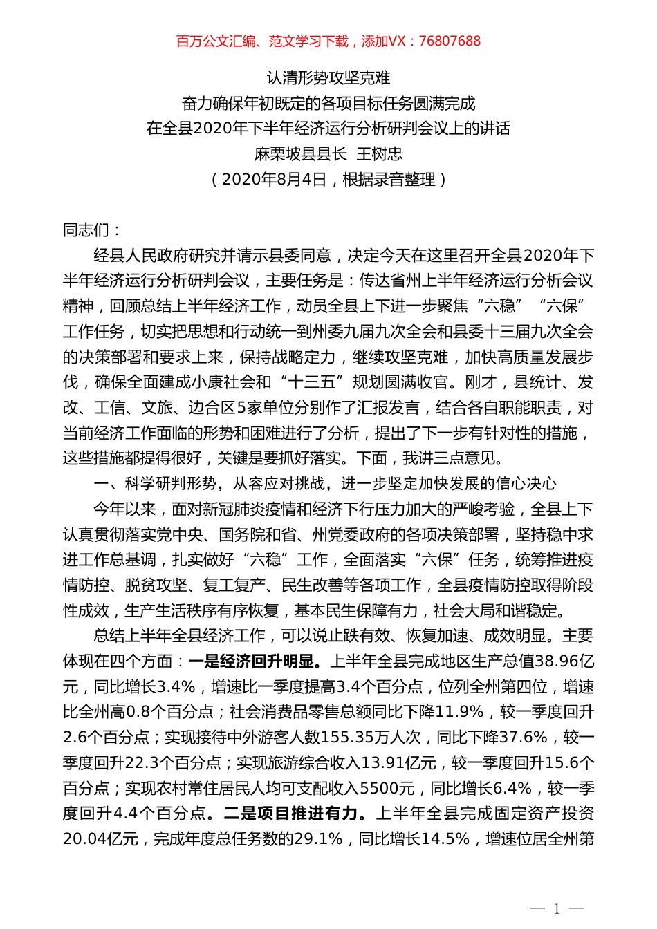 麻栗坡县县长王树忠：在全县2020年下半年经济运行分析研判会议上的讲话.doc_第1页