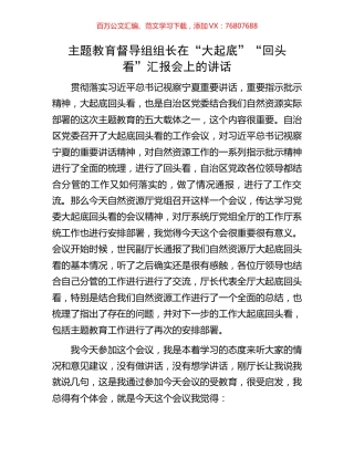 主题教育督导组组长在“大起底”“回头看”汇报会上的讲话.docx