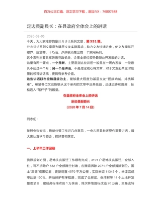 定边县副县长：在县政府全体会上的讲话.docx