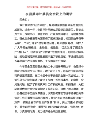 在县委审计委员会会议上的讲话.docx