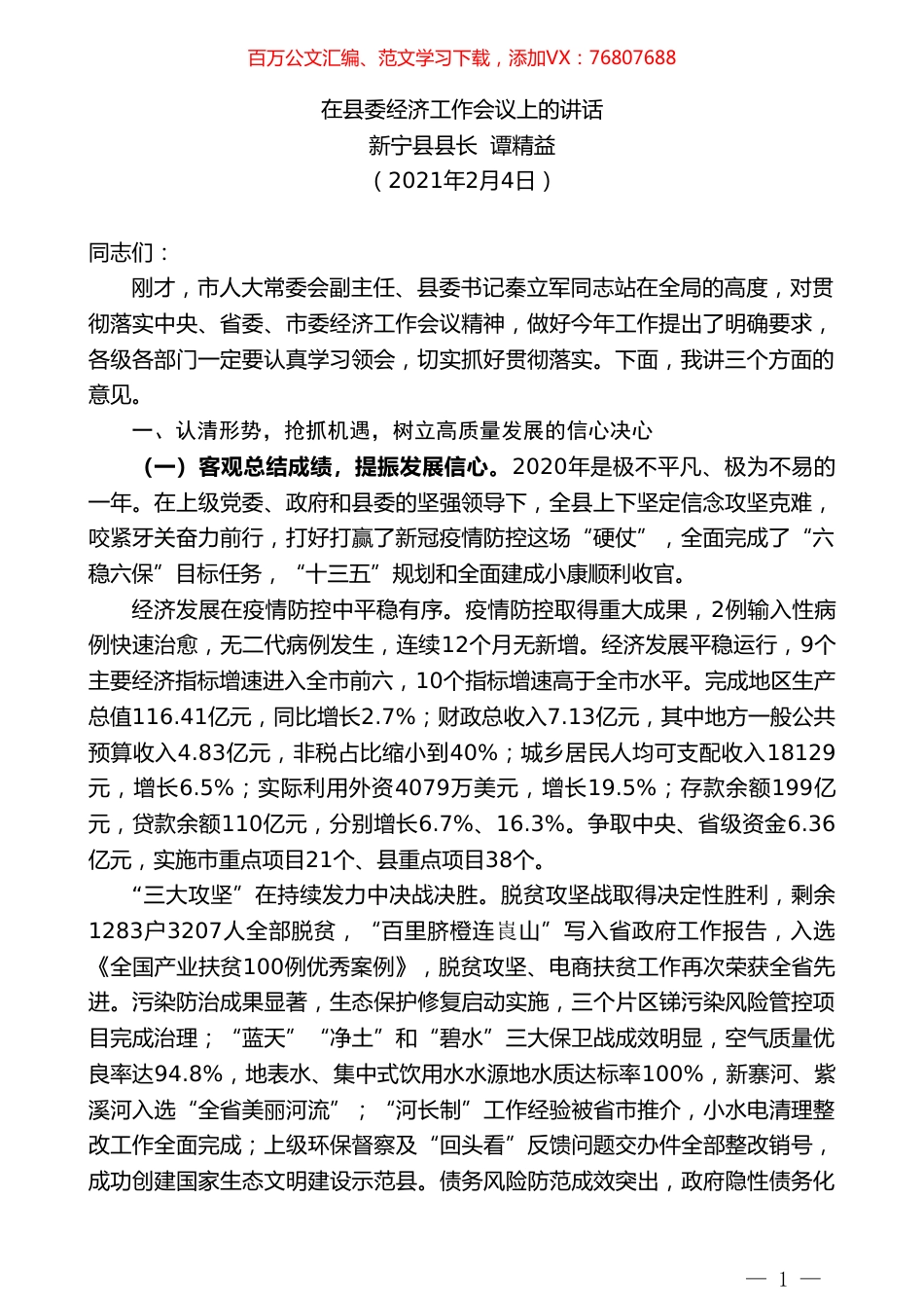 新宁县县长谭精益：在县委经济工作会议上的讲话.doc_第1页