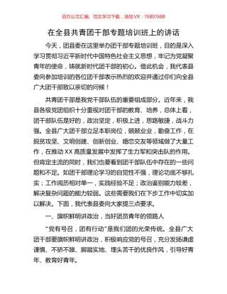 在全县共青团干部专题培训班上的讲话.docx