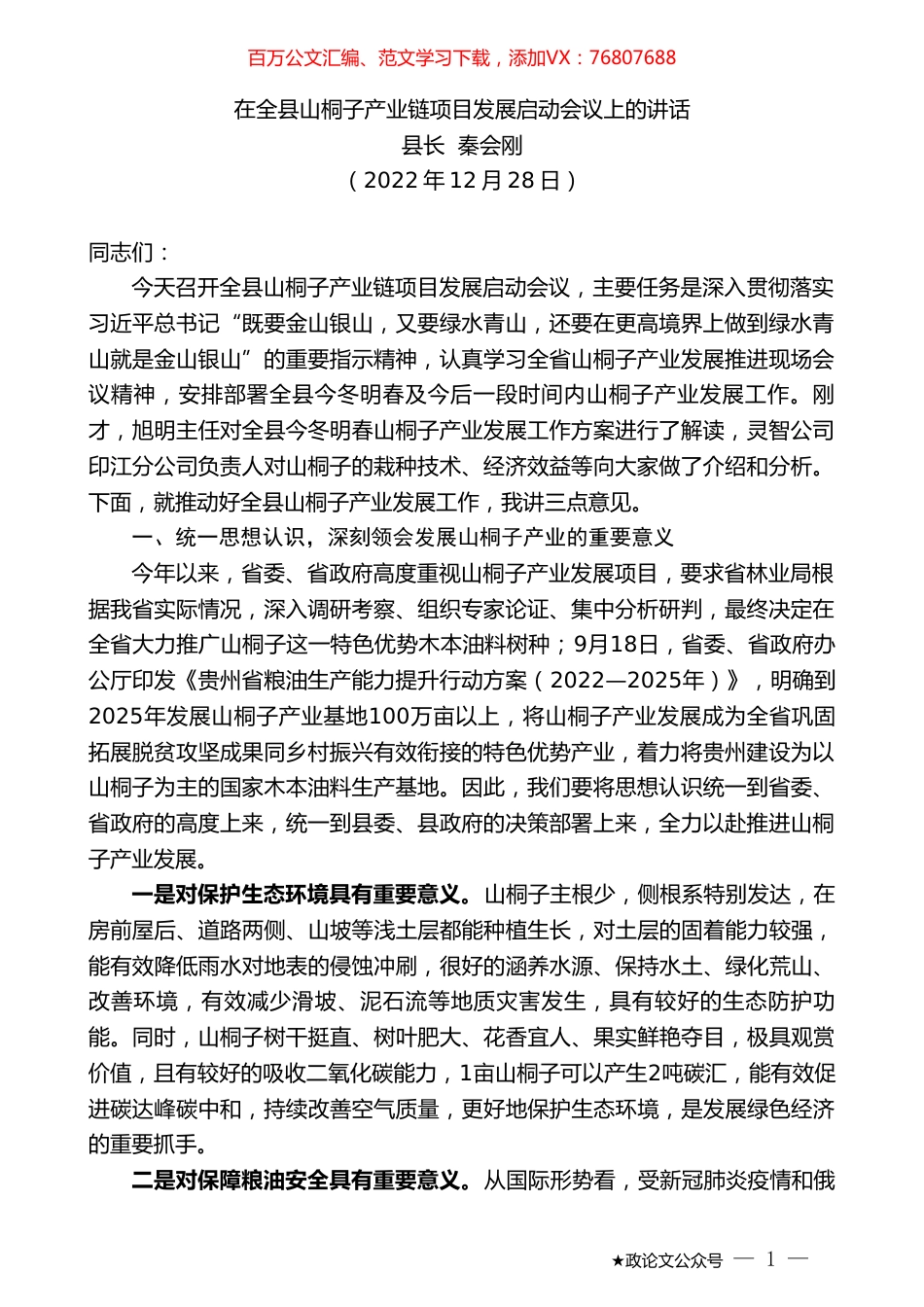 县长秦会刚：在全县山桐子产业链项目发展启动会议上的讲话.doc_第1页