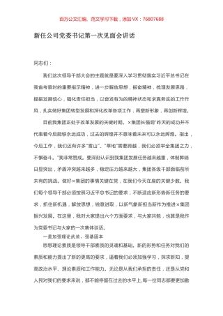 新任公司党委书记第一次见面会讲话.docx