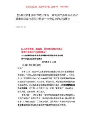 湖州市市长王纲：在湖州市委常委会会议暨市共同富裕领导小组第一次会议上的讲话要点.docx