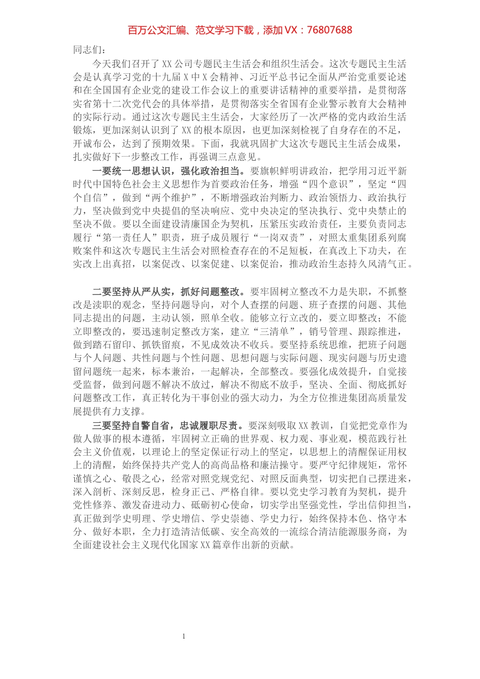 指导组民主生活会点评讲话（国企）.docx_第1页