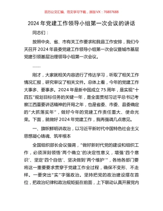 2024年党建工作领导小组第一次会议的讲话.docx