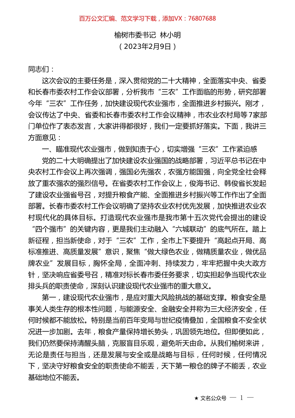 榆树市委书记林小明：在市委农村工作会议上的讲话.doc_第1页