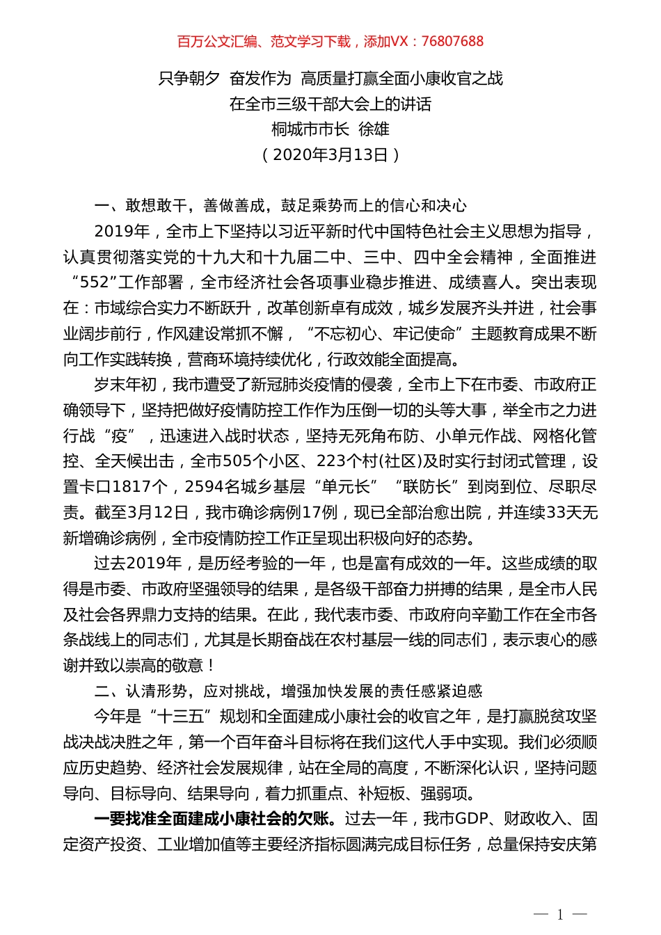 桐城市市长徐雄在全市三级干部大会上的讲话.doc_第1页