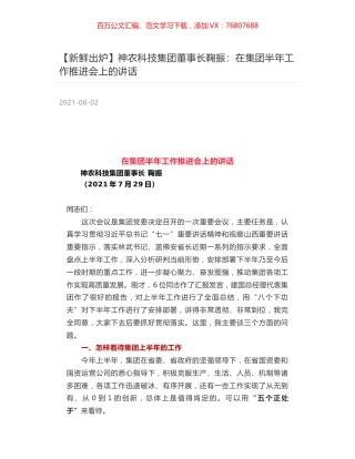 神农科技集团董事长鞠振：在集团半年工作推进会上的讲话.docx