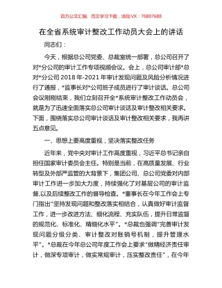 在全省系统审计整改工作动员大会上的讲话.docx