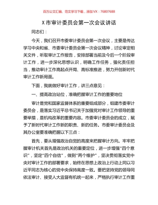 X市审计委员会第一次会议讲话.docx