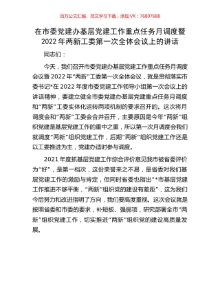 在市委党建办基层党建工作重点任务月调度暨2022年两新工委第一次全体会议上的讲话.docx