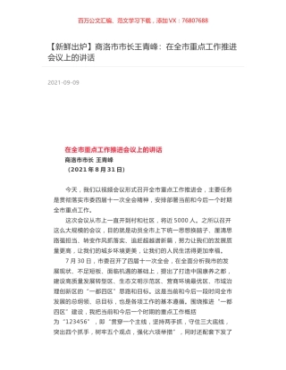 商洛市市长王青峰：在全市重点工作推进会议上的讲话.docx