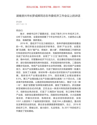 湖南资兴市长罗成辉同志在市委经济工作会议上的讲话.docx