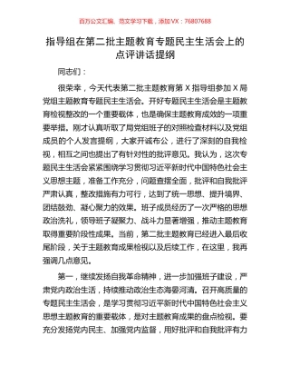 指导组在第二批主题教育专题民主生活会上的点评讲话提纲.docx