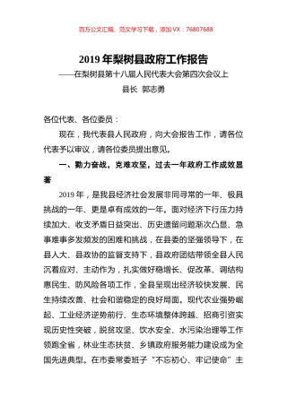 2019年梨树县政府工作报告.docx