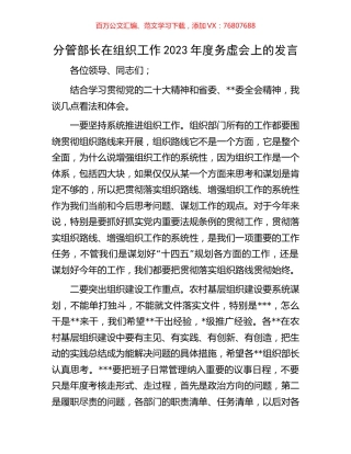 分管部长在组织工作2023年度务虚会上的发言.docx