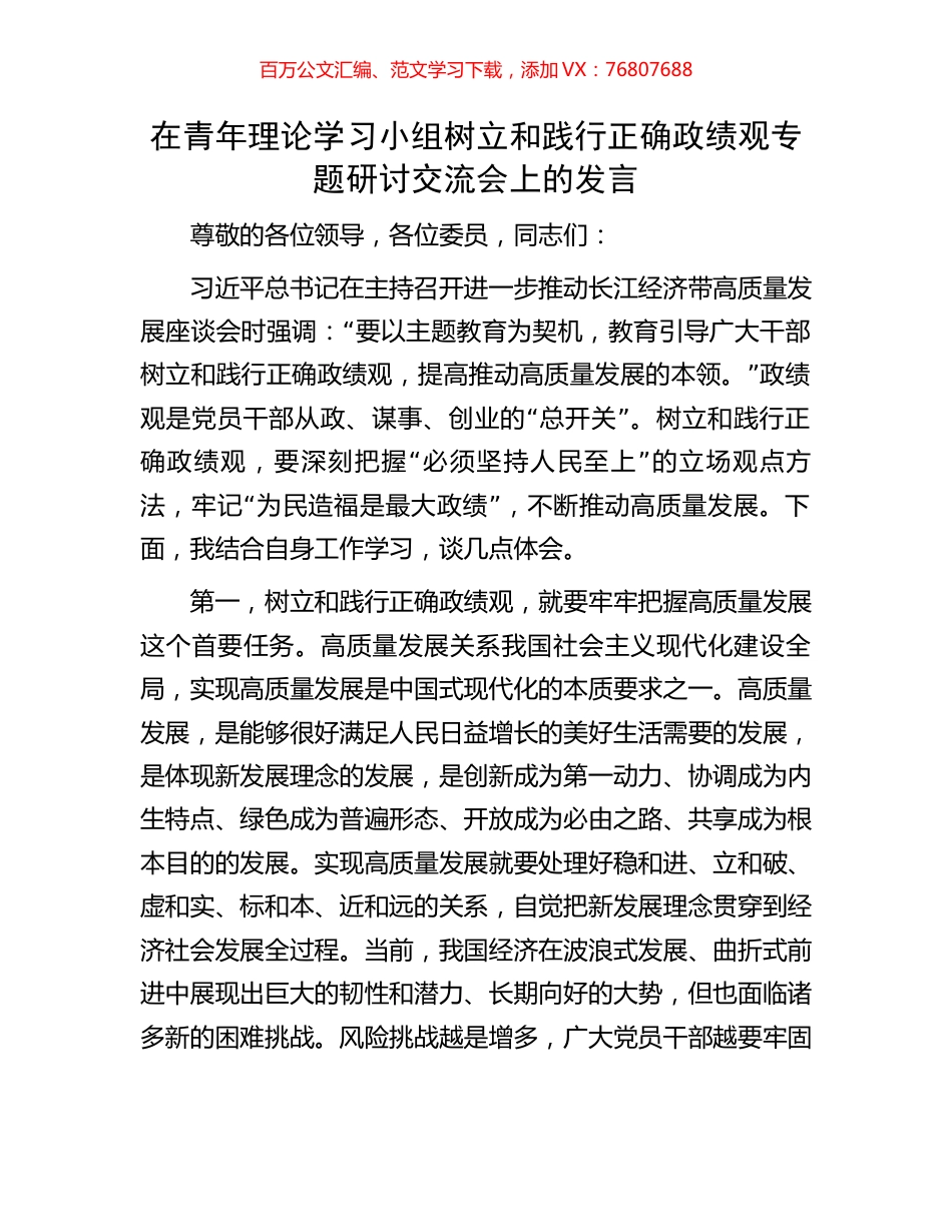 在青年理论学习小组树立和践行正确政绩观专题研讨交流会上的发言.docx_第1页