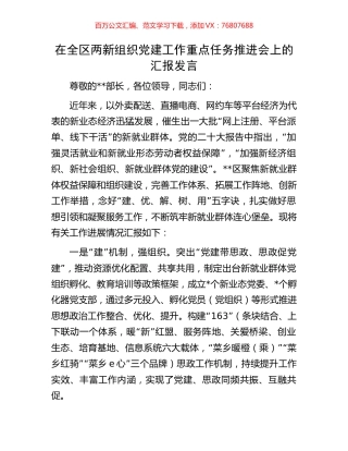 在全区两新组织党建工作重点任务推进会上的汇报发言.docx