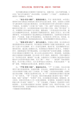 乡镇领导班子能力作风建设交流材料.docx