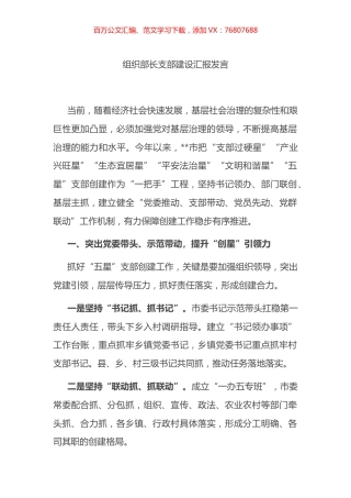 组织部长支部建设汇报发言.docx
