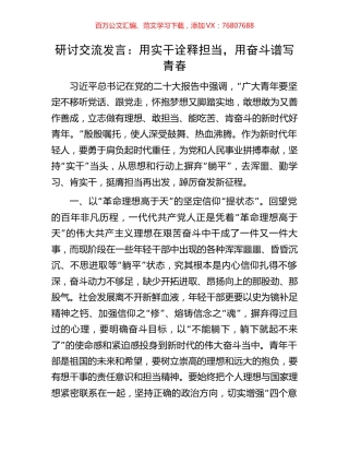 研讨交流发言：用实干诠释担当，用奋斗谱写青春.docx