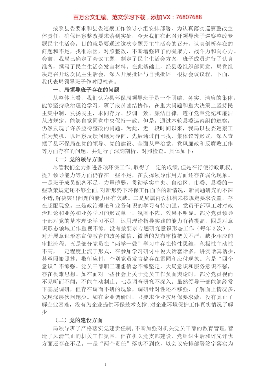 环保局巡察整改专题民主生活会班子发言材料.docx_第1页