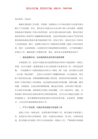 在X县委巡察工作动员会上的表态发言.docx