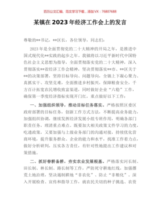 某镇在2023年经济工作会上的发言.docx