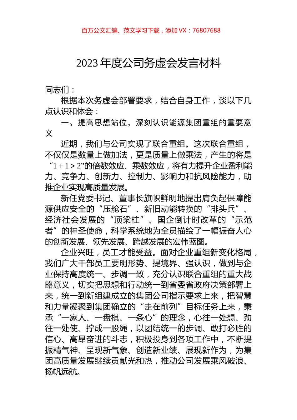 2023年度公司务虚会发言材料.docx_第1页