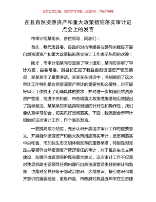 在县自然资源资产和重大政策措施落实审计进点会上的发言.docx