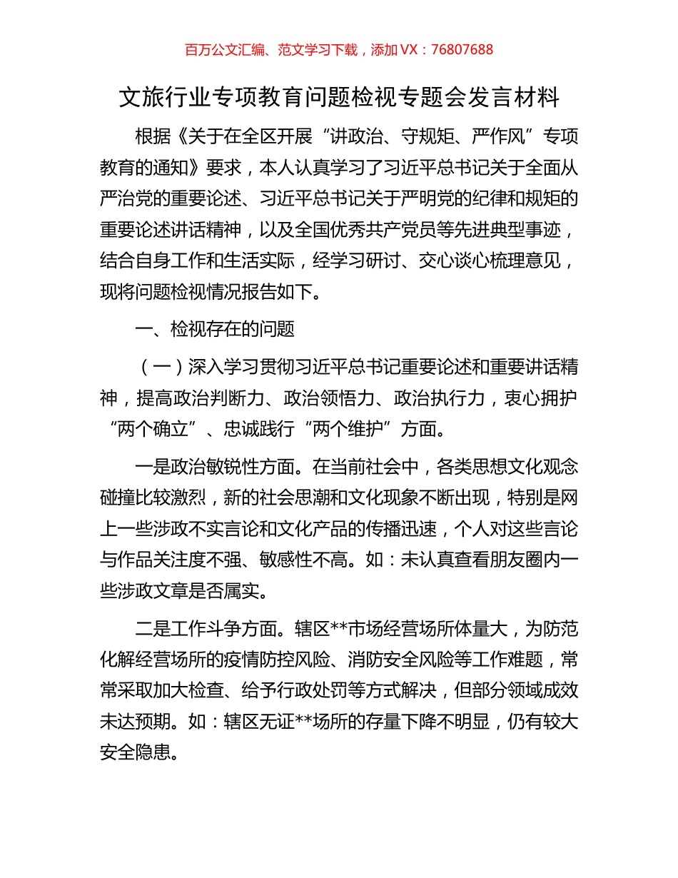 文旅行业专项教育问题检视专题会发言材料.docx_第1页