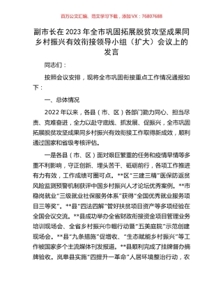 副市长在2023年全市巩固拓展脱贫攻坚成果同乡村振兴有效衔接领导小组（扩大）会议上的发言.docx