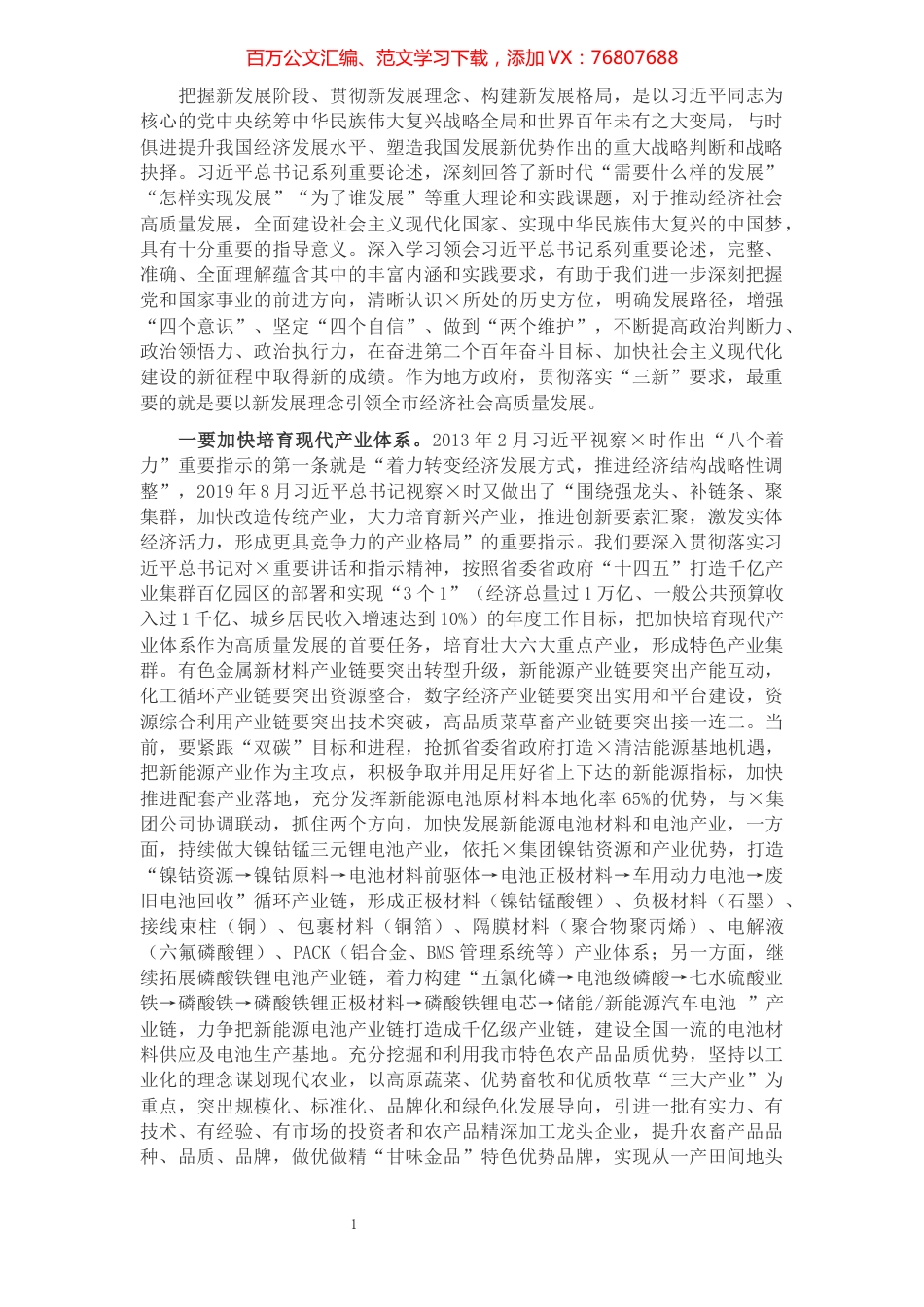 以新发展理念引领全市高质量发展——市委副书记在市委理论学习中心组专题会研讨发言.docx_第1页