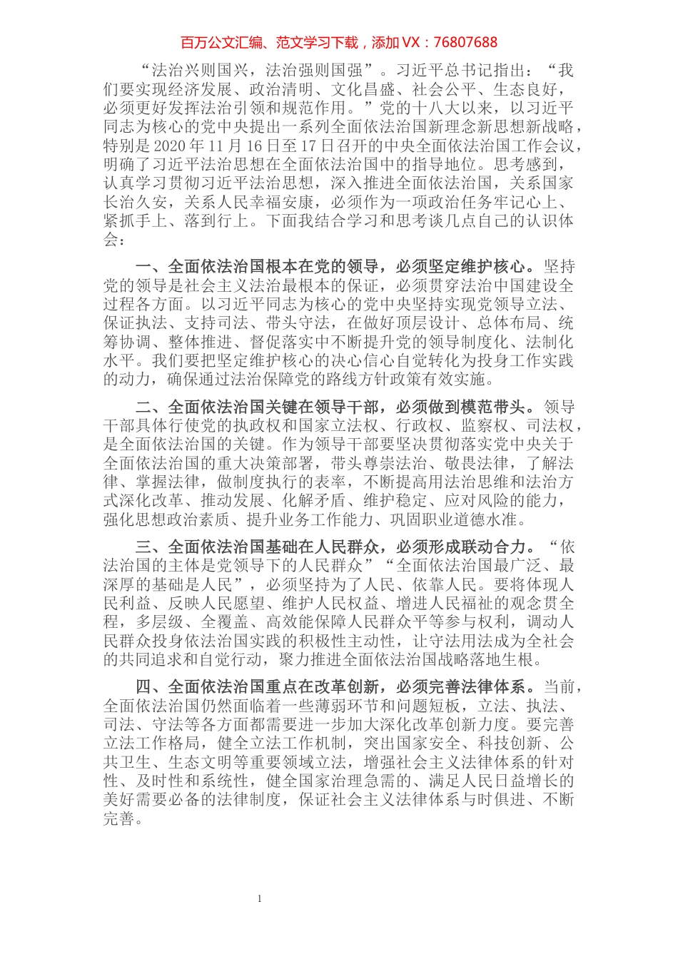 全面依法治国研讨发言.docx_第1页